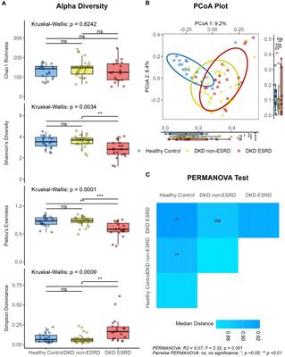 Gut microbiota profiling reflects the renal dysfunction and psychological distress in patients with diabetic kidney disease